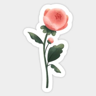 Peony Sticker